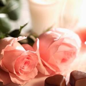 Meet your Posher, Najla